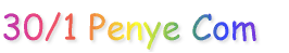 30/1 Penye Com 

